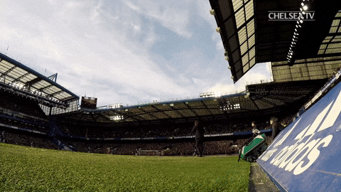 Cfc Conte GIF by Chelsea FC - Find & Share on GIPHY
