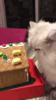 Gingerbread House Christmas GIF by America's Funniest Home Videos