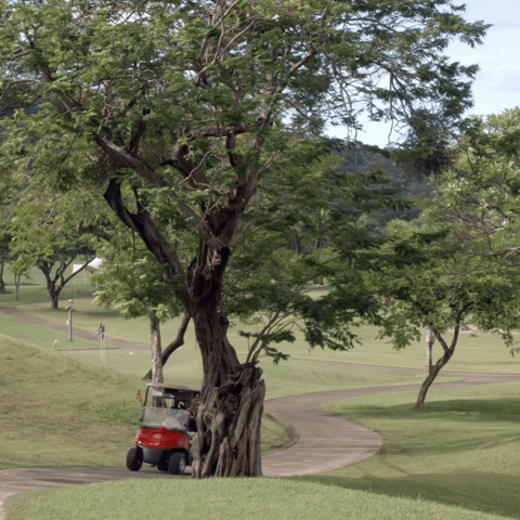 Costa Rica Golf GIF