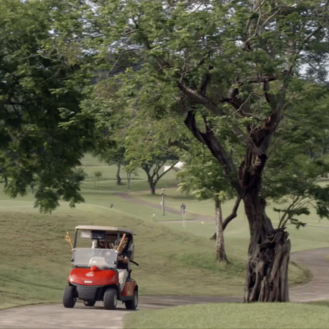 Play Well Costa Rica GIF