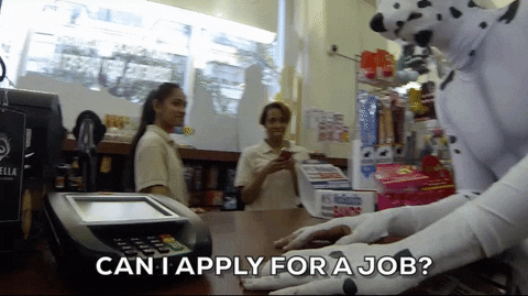 Job Resume GIF by The Eric Andre Show - Find & Share on GIPHY