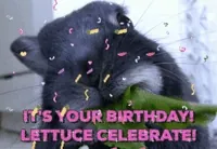 happy birthday GIF by chuber channel