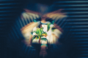 lvcthelabel lvc lvcthelabel laurenvictoriacraig GIF