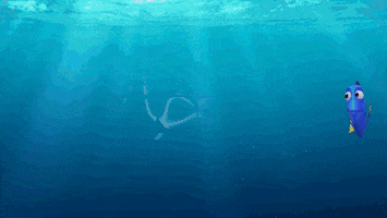 GIF by Disney/Pixar's Finding Dory