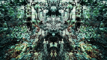 glitch art GIF by u̶͛͗̽ n̵͇ͨ g̵̼͂ l̵᷅ t̵̄ c̵̃͘ h̵͚ m̵͇͑e͔