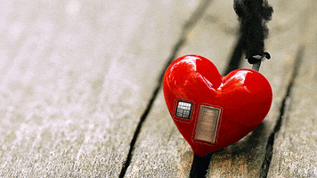 edersoncarvalho  GIF