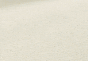 lucasrosa  GIF