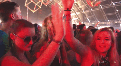 Vsco Girl GIF by Coachella - Find & Share on GIPHY