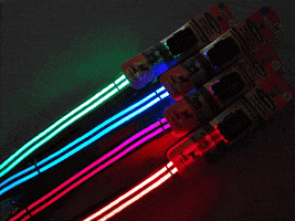 LumiPetsCL lumipets correa led mascota lumicorrea correa led perro GIF