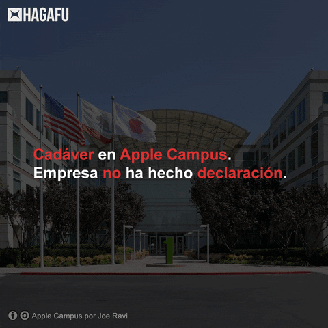 Muerto 1 Infinite Loop GIF by hagafu