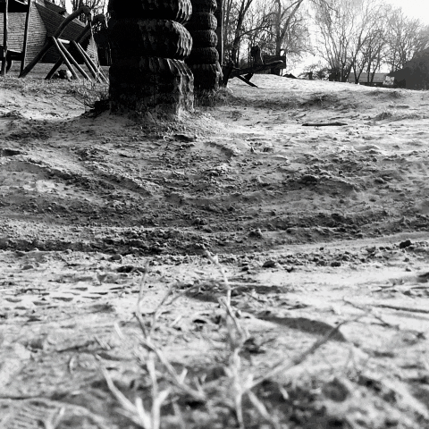kilag nature woman forest swing GIF