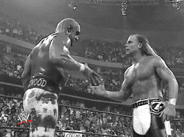 WWE GIF