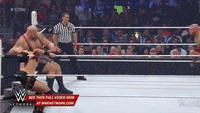 WWE GIF