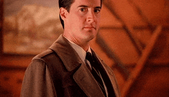 schambess  GIF