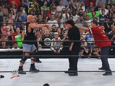 Giphy - Stone Cold Wrestling GIF by WWE