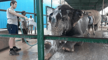 tourmyindia  GIF