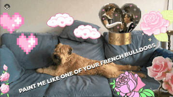 Dog Dewey GIF by fiono