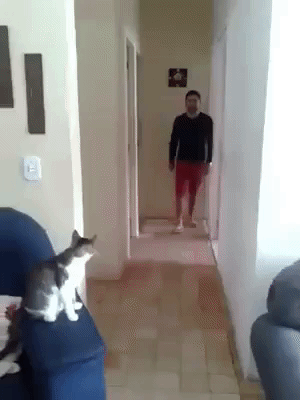 daniehg  GIF