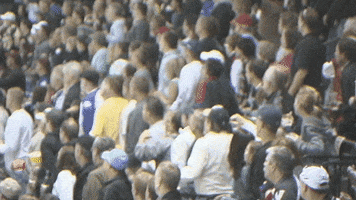 200.gif?cid=fc005b08b51bfe1eba4b24d3a599bcbfc31922791fcf5d27&rid=200.gif&ct=g