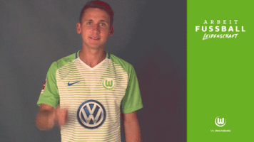 paul seguin bundesliga GIF by VfL Wolfsburg