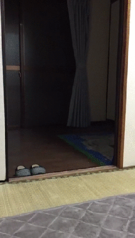 infowdmailru  GIF
