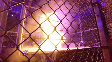WWE GIF