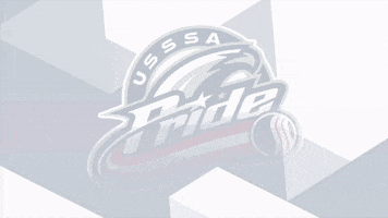 fastpitch GIF by USSSA Pride
