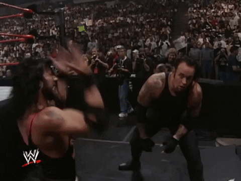 WWE sports wwe wrestling 1999 GIF