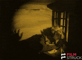 Silent Film Vampire GIF by FilmStruck