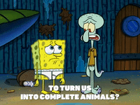 Season 9 Sanctuary Gif By Spongebob Squarepants Find Share On Giphy Season 9 Sanctuary Gif By Spongebob Squarepants Find Share On Giphy
