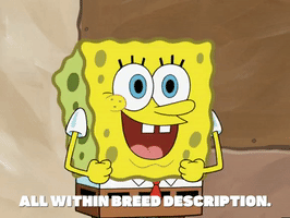 season 6 episode 10 GIF by SpongeBob SquarePants