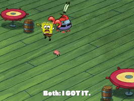 200.gif?cid=fc005b0876be9d28b62bdd323eb9124a2beff1075bd9dbd5&rid=200.gif&ct=g