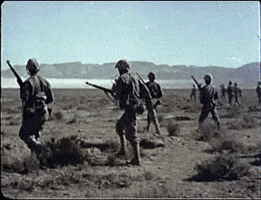 War Veterans GIF by Reveal