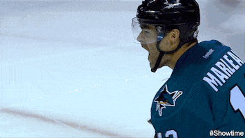 stanley cup hug GIF by Showtime
