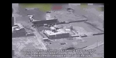 alexanderlockie  GIF