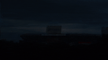 ben hill griffin stadium the swamp GIF by Florida Gators