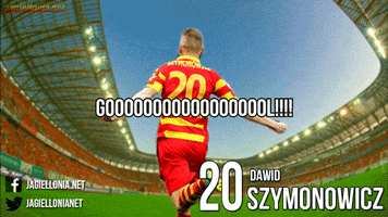maciejrogowski  GIF