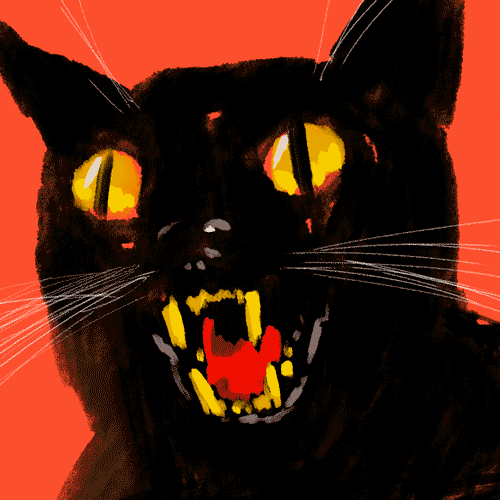 Black Cat Halloween GIF by GIPHY Studios Originals - Find & Share on GIPHY