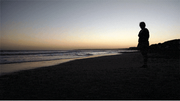 vicosdepalma  GIF