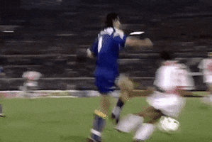 dariovismara  GIF