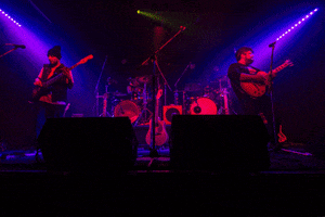 feline deuol band mexican GIF