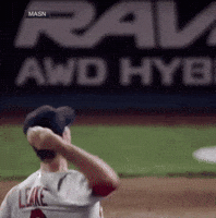 Home Run Baseball GIF by Tomi Ferraro, Sportz Home Run Baseball GIF by Tomi Ferraro, Sportz
