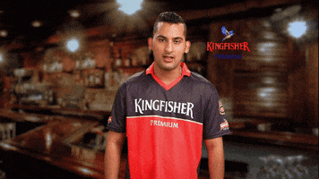 happy cricket GIF by KingfisherWorld