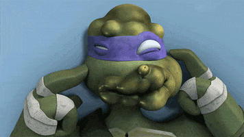 nickelodeon GIF by Teenage Mutant Ninja Turtles