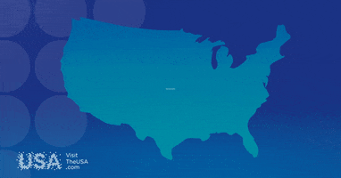 Copa America Football GIF by Visite os USA