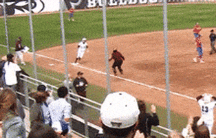 softball bulldogs GIF by Mississippi State Athletics