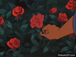 fuzzhugs rose redwall martin the warrior GIF