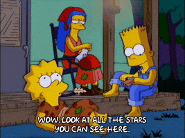 bart simpson GIF
