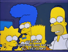 200.gif?cid=fc005b08f710a5ee9cf3ccdc8604e6855a3989b917be7a6a&rid=200.gif&ct=g