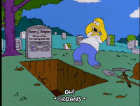Digging My Grave GIFs - Find & Share on GIPHY